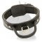 2 ply Leather Great Dane Collar with Handle for Training