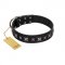"Polar Lights" Designer FDT Artisan Black Leather Great Dane Collar with Silver-Like Studs