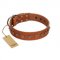 "Guard of Honour " Designer FDT Artisan Tan Leather Great Dane Collar with Small Dotted Pyramids