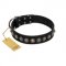 "Black Eagle" Handcrafted FDT Artisan Black Leather Great Dane Collar with Silver-Like Adornments