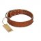 "Star Light" Stylish FDT Artisan Tan Leather Great Dane Collar with Silver-Like Studs