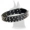 Quality Spiked Leather Dog Collar for Great Dane
