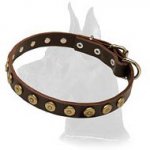 Gorgeous Leather Collar with Doted Circles for Great Dane