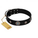 "Blue Gems" FDT Artisan Black Leather Great Dane Collar with Chrome Plated Studs and Conchos