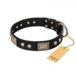 "Pirates Gold" FDT Artisan Black Leather Great Dane Collar with Old Silver Look Plates and Skulls