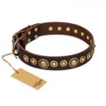 "Ancient Warrior" FDT Artisan Fancy Leather Great Dane Collar with Old-Bronze Plated Decorations