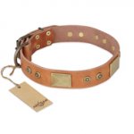 "The Middle Ages" FDT Artisan Handcrafted Tan Leather Great Dane Collar