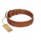 "Lucky Star" Handmade FDT Artisan Designer Tan Leather Great Dane Collar with Round Plates