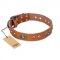 "Stunning Dress" FDT Artisan Tan Leather Great Dane Collar with Old Bronze Look Plates and Studs