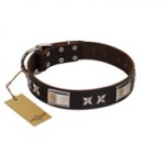 "Satin Beauts" FDT Artisan Brown Leather Great Dane Collar with Stars and Plates