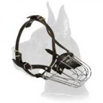 Wire Basket Muzzle for Great Dane