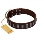 "Brown Lace" Handmade FDT Artisan Brown Leather Great Dane Collar for Everyday Walks