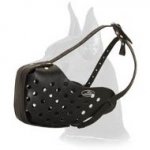 Attack Training Muzzle for Great Dane