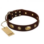 "Hebe's Jewel" FDT Artisan Brown Genuine Leather Great Dane Collar