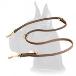Functional Leather Leash for Great Dane