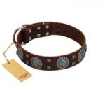 "Hypnotic Stones" FDT Artisan Brown Leather Great Dane Collar with Chrome Plated Brooches and Square Studs