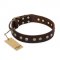 "Bronze Sheen" FDT Artisan Leather Great Dane Collar with Brass-Plated Studs