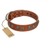 "Luxurious Life" Premium Quality FDT Artisan Tan Leather Great Dane Collar with Round Adornments