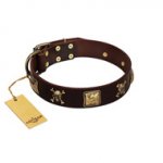 "Crazy Pirate" FDT Artisan Brown Leather Great Dane Collar with Old Bronze-Plated Skulls and Plates