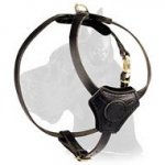 Top notch Leather Harness for Great Dane puppy