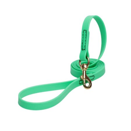 Green Waterproof Great Dane Leash Made of Biothane