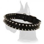 Black Nylon Spiked Collar for Great Dane