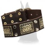 Great Dane Leather Collar with Vintage Decoration