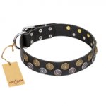 "Romantic Breeze" FDT Artisan Black Leather Great Dane Collar with Riveted Circles