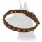 Studded Leather Collar for Great Dane