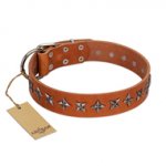 "Star Trek" FDT Artisan Tan Leather Great Dane Collar Decorated with Stars