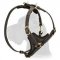 Easy Walk Leather Harness for Great Dane