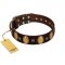 "Crystal Mirror" FDT Artisan Handmade Brown Leather Great Dane Collar - 1 1/2 inch (40 mm) Wide