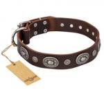 "Extra Pizzazz" FDT Artisan Adorned Brown Leather Great Dane Collar