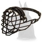 Rubber Covered Wire Muzzle for Great Dane