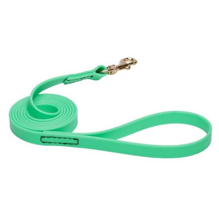 Green Waterproof Great Dane Leash Made of Biothane