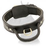 2 ply Leather Great Dane Collar with Handle for Training