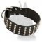 Extra Wide Leather Collar with pyramids for Great Dane