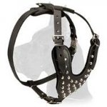 Leather Harness with Pyramids for Great Dane