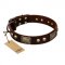 "Magic Amulet" Brown Leather Great Dane Collar with Skulls and Plates