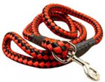5 foot Round Nylon Leash With Brass Snap for Great Dane