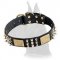 Leather Great Dane Collar with plates, spikes and pyramids