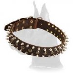 Leather Spiked and Studded Collar for Great Dane