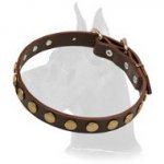 Leather Collar With Circles for Great Dane