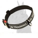 Nylon Collar with Patches and Quick Release Buckle for Great Dane
