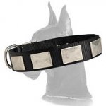 Nylon Collar with Vintage Nickel Plates for Great Dane