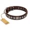 "Pierian spring" FDT Artisan Brown Leather Great Dane Collar with Silvery Decorations