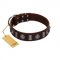 "Spiky Way" FDT Artisan Brown Leather Great Dane Collar with Silver-Like Decorations