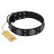 "Boundless Blue" FDT Artisan Black Leather Great Dane Collar with Chrome Plated Brooches and Square Studs