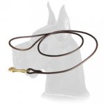 Leather dog shows round leash for Great Dane