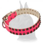 Glamour Design Pink Leather Collar with Studs
